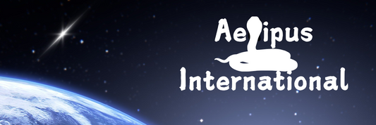 Who We Are: Aedipus International Media Website Announcement