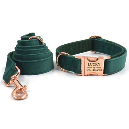 PETDURO Custom Dog Collar Personalized with Name Engraved for Large, Medium & Small Dogs