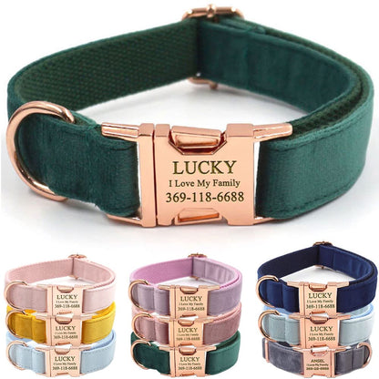 PETDURO Custom Dog Collar Personalized with Name Engraved for Large, Medium & Small Dogs