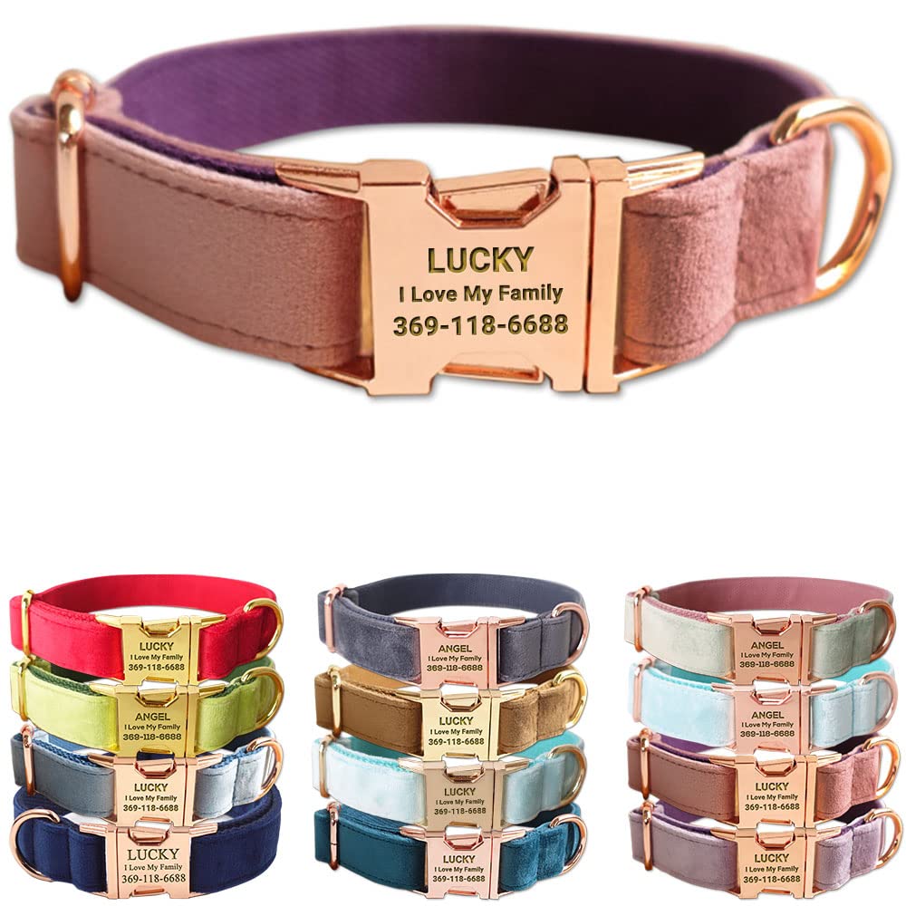 PETDURO Custom Dog Collar Personalized with Name Engraved for Large, Medium & Small Dogs