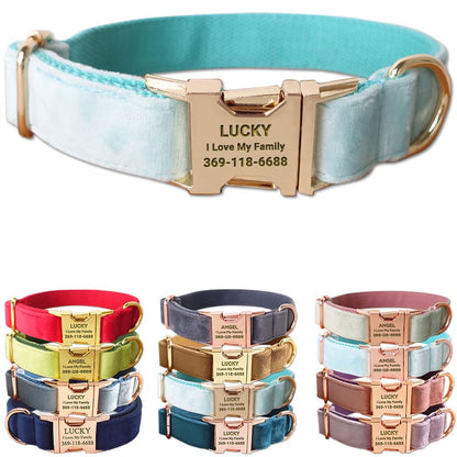 PETDURO Custom Dog Collar Personalized with Name Engraved for Large, Medium & Small Dogs