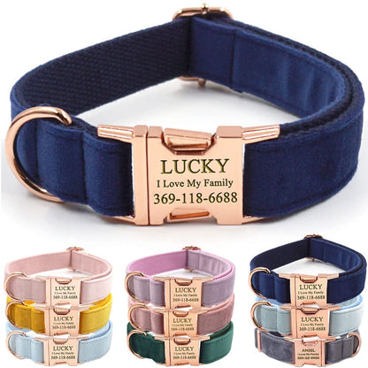 PETDURO Custom Dog Collar Personalized with Name Engraved for Large, Medium & Small Dogs