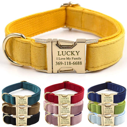 PETDURO Custom Dog Collar Personalized with Name Engraved for Large, Medium & Small Dogs