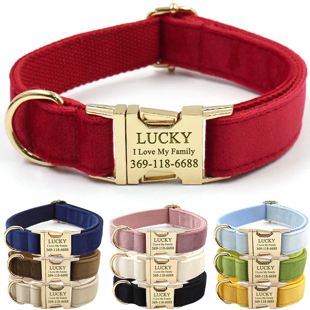 PETDURO Custom Dog Collar Personalized with Name Engraved for Large, Medium & Small Dogs