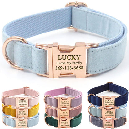 PETDURO Custom Dog Collar Personalized with Name Engraved for Large, Medium & Small Dogs