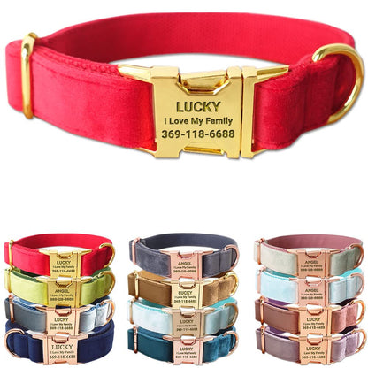 PETDURO Custom Dog Collar Personalized with Name Engraved for Large, Medium & Small Dogs