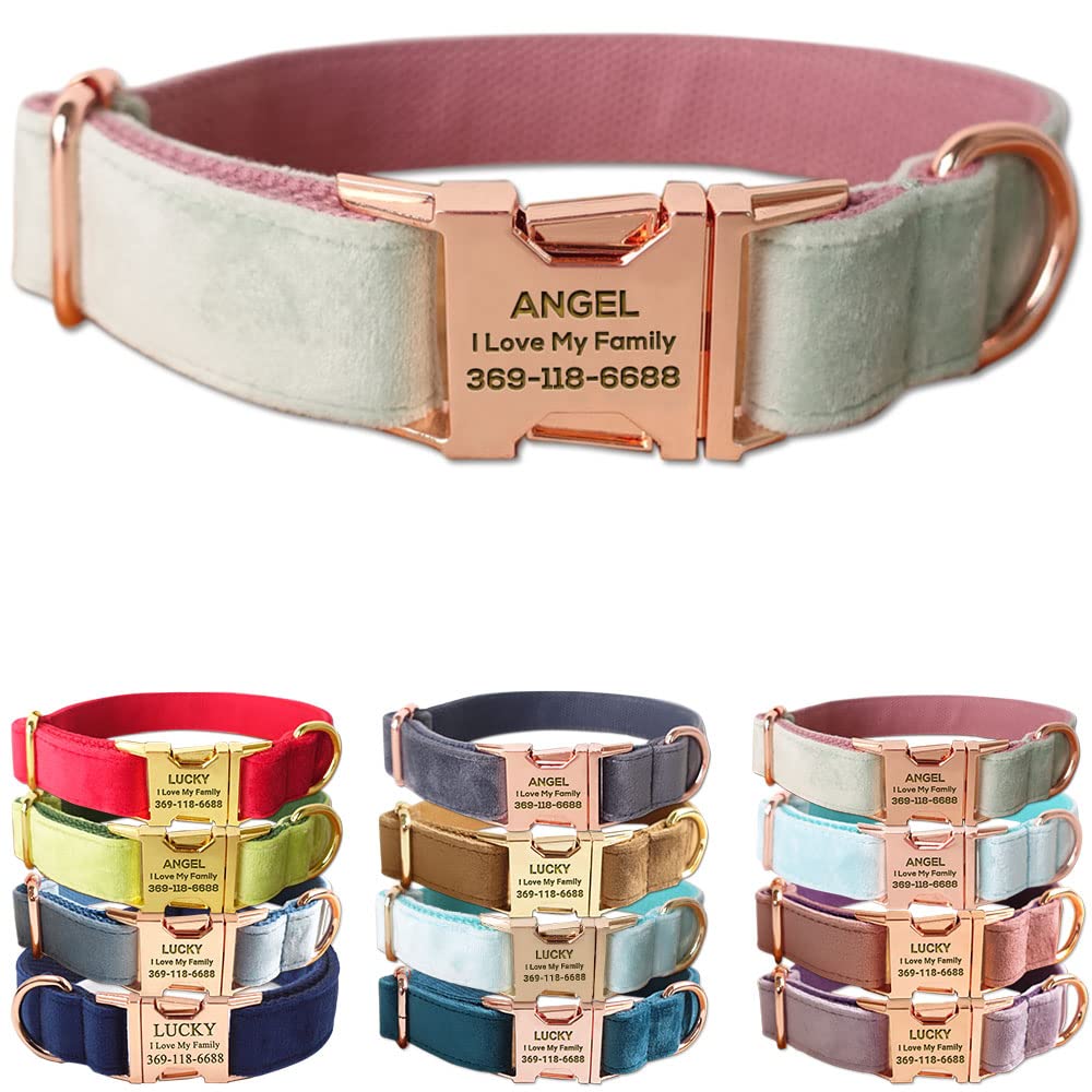 PETDURO Custom Dog Collar Personalized with Name Engraved for Large, Medium & Small Dogs