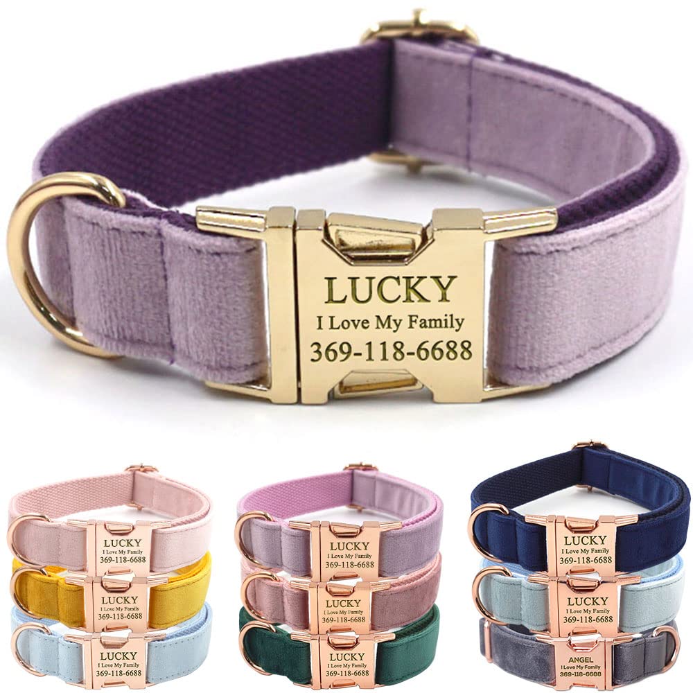 PETDURO Custom Dog Collar Personalized with Name Engraved for Large, Medium & Small Dogs