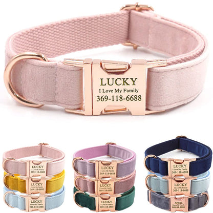 PETDURO Custom Dog Collar Personalized with Name Engraved for Large, Medium & Small Dogs