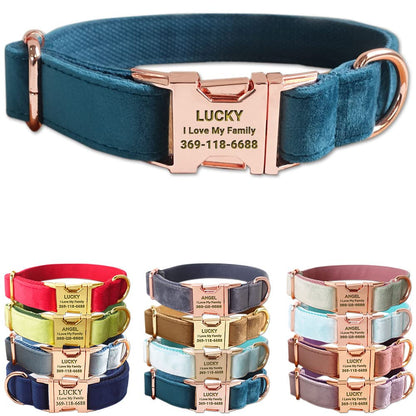 PETDURO Custom Dog Collar Personalized with Name Engraved for Large, Medium & Small Dogs