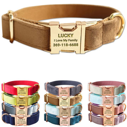 PETDURO Custom Dog Collar Personalized with Name Engraved for Large, Medium & Small Dogs