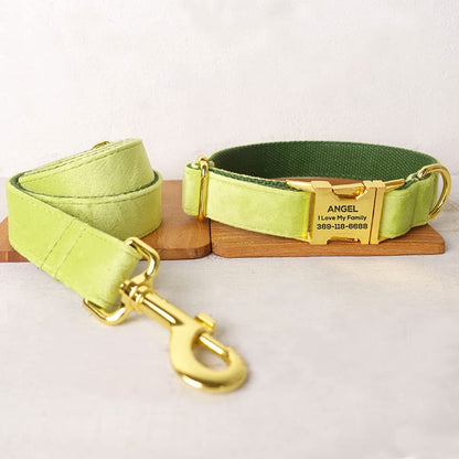 PETDURO Custom Dog Collar Personalized with Name Engraved for Large, Medium & Small Dogs