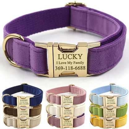 PETDURO Custom Dog Collar Personalized with Name Engraved for Large, Medium & Small Dogs