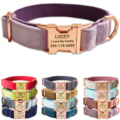 PETDURO Custom Dog Collar Personalized with Name Engraved for Large, Medium & Small Dogs