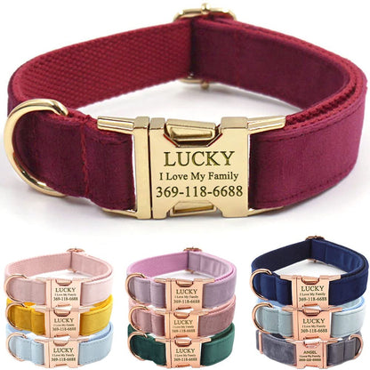 PETDURO Custom Dog Collar Personalized with Name Engraved for Large, Medium & Small Dogs