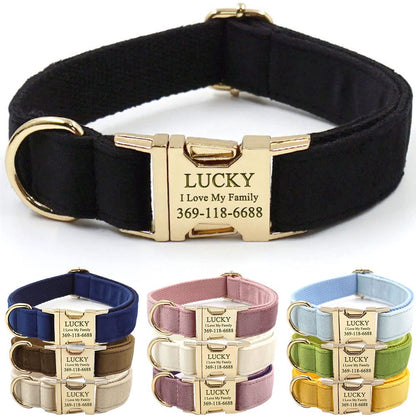 PETDURO Custom Dog Collar Personalized with Name Engraved for Large, Medium & Small Dogs