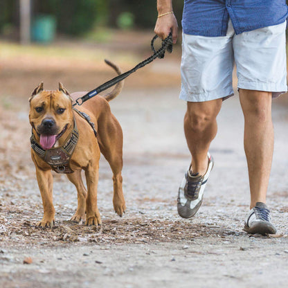 PET Auroth Tactical Dog Harness for Small, Medium & Large Dogs