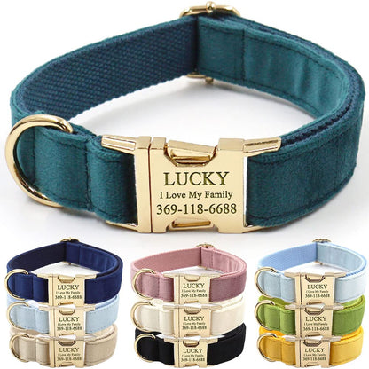 PETDURO Custom Dog Collar Personalized with Name Engraved for Large, Medium & Small Dogs