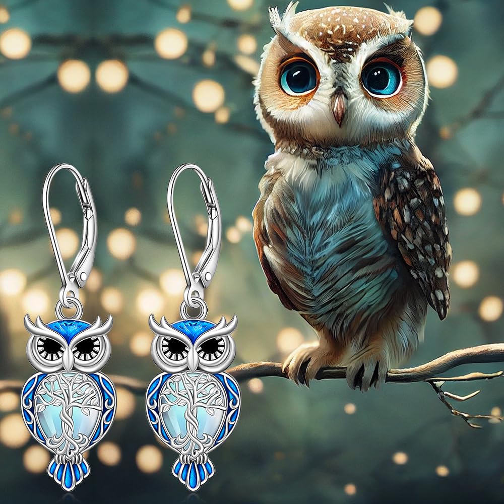 Owl Earrings & other varietyies of Sterling Silver Earrings for Women