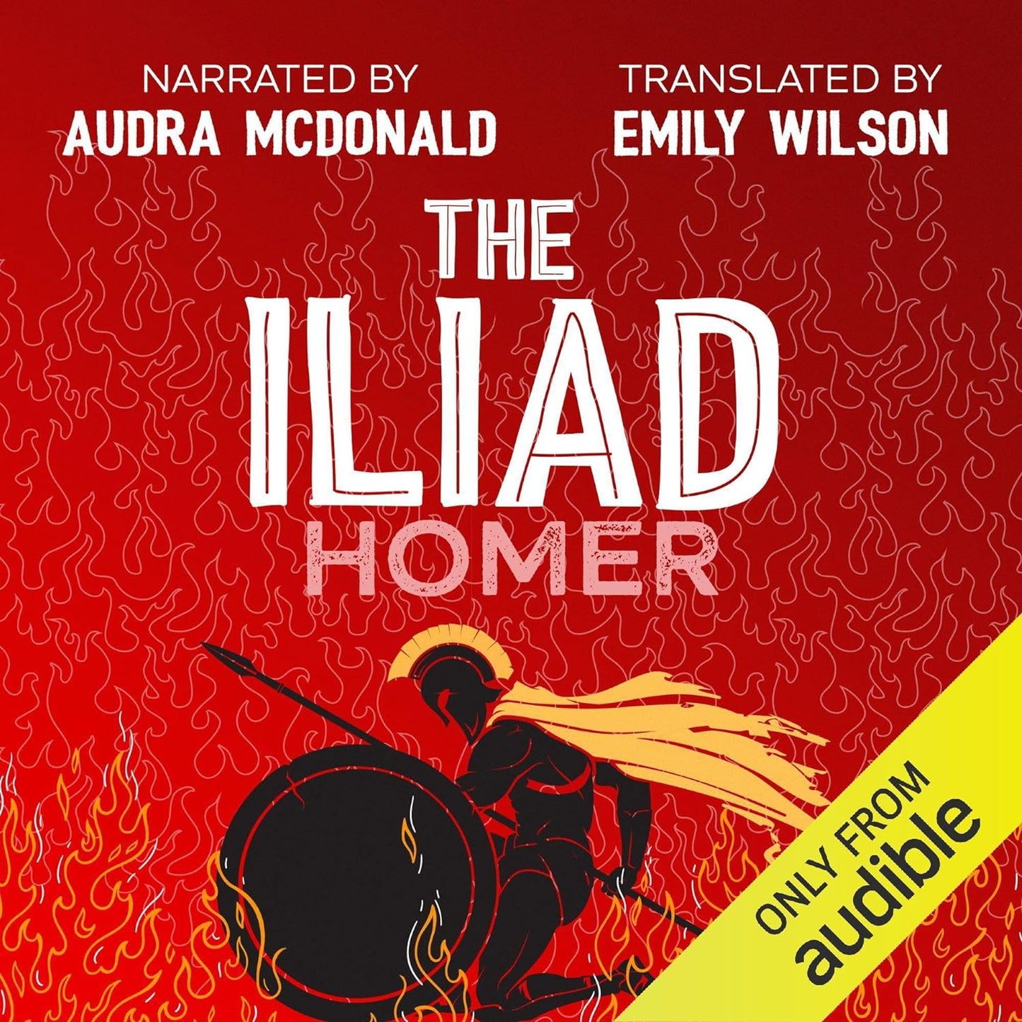 The Illiad 2024 Audio Book Award Winner