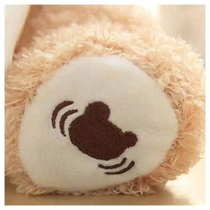 ZEN Interactive Peek A Boo Plush Teddy Bear from The Spiritual Cave of Brahma